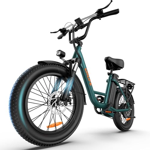URLIFE 20" Fat Tire E-Bike: 250W Motor, 48V Battery, All-Terrain