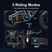 X50 Adult Electric Fat Tyre Bike, 20" Wheels, 48V Removable Battery, 250W Motor, 7-Speed