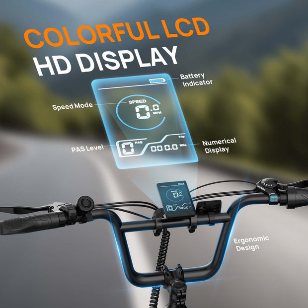 URLIFE 20" Fat Tire E-Bike: 250W Motor, 48V Battery, All-Terrain