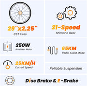Touroll U1 Electric Mountain Bike: Powerful 13Ah Battery, 21-Speed, Dual Disc Brakes