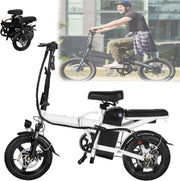 Folding 20-Inch Electric Tricycle: 48V Power, 20 MPH, Long 25-Mile Range