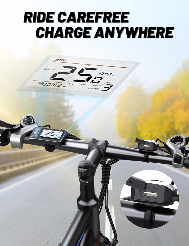 DUOTTS C29 29-inch Electric Mountain Bike: 48V 15Ah Battery, 250W Motor