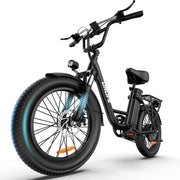 URLIFE 20" Fat Tire E-Bike: 250W Motor, 48V Battery, All-Terrain