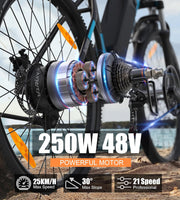 VARUN M27-1 Electric Mountain Bike: 27.5-inch Wheels, 48V Long Range