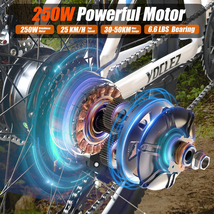 SUDOO 26" Electric Mountain Bike: 36V Removable Battery, 250W Motor