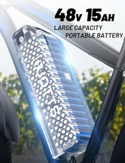 DUOTTS C29 29-inch Electric Mountain Bike: 48V 15Ah Battery, 250W Motor