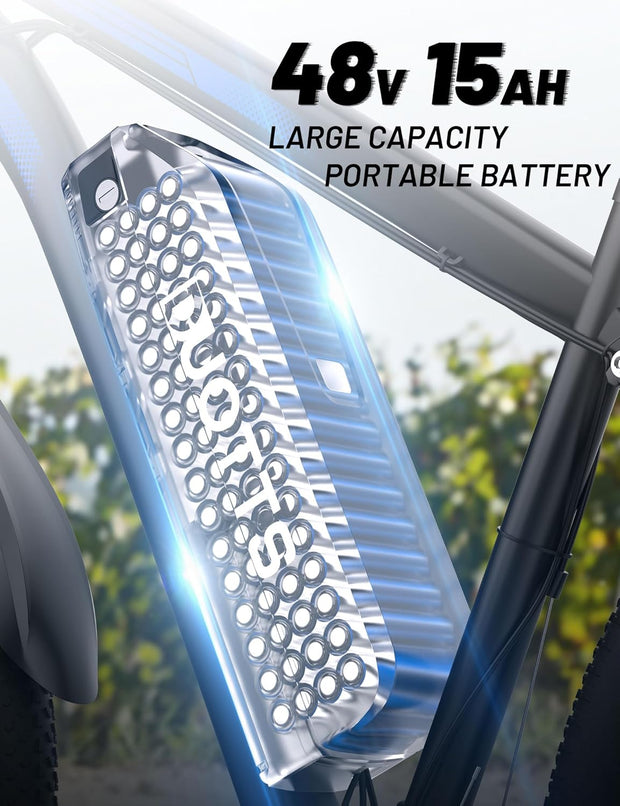 DUOTTS C29 29-inch Electric Mountain Bike: 48V 15Ah Battery, 250W Motor