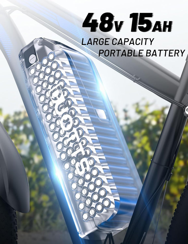 DUOTTS C29 29-inch Electric Mountain Bike: 48V 15Ah Battery, 250W Motor