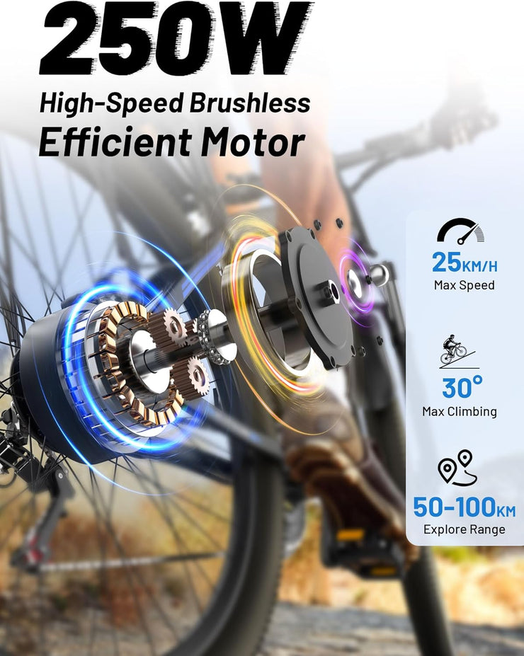 DUOTTS C29 29-inch Electric Mountain Bike: 48V 15Ah Battery, 250W Motor